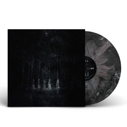 Pouya "Pouya" 12" LP Vinyl (Graphite Eco Mix Vinyl)